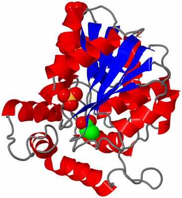 Image Asymmetric Unit