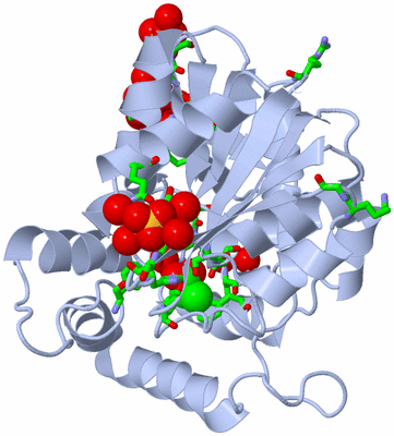 Image Biol. Unit 1 - sites