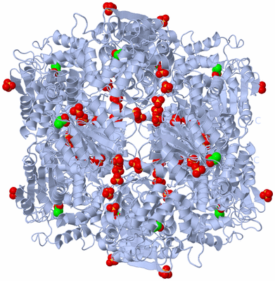 Image Biological Unit 2