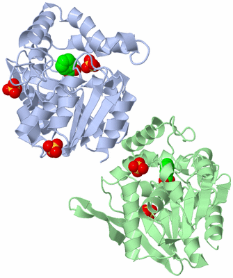 Image Asym./Biol. Unit
