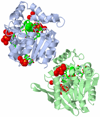 Image Asym./Biol. Unit - sites
