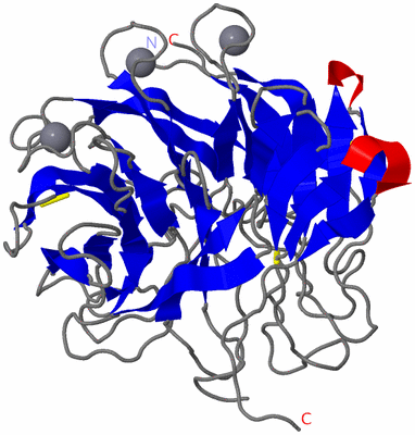 Image Theoretical Model