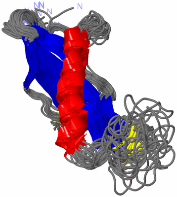Image NMR Structure - all models