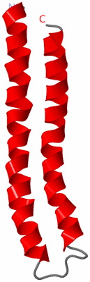 Image NMR Structure - model 1