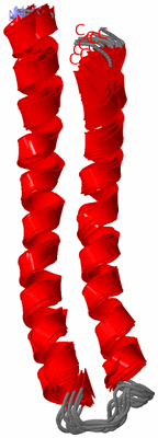 Image NMR Structure - all models