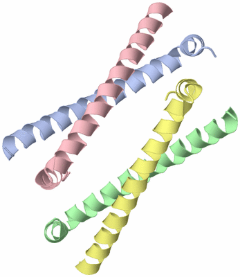 Image Asymmetric Unit