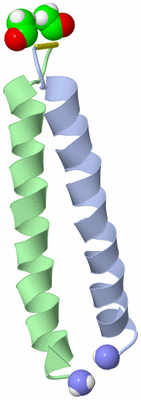 Image NMR Structure - model 1