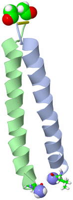 Image NMR Structure - model 1, sites