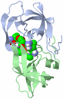 Image Biological Unit 1