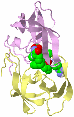 Image Biological Unit 2