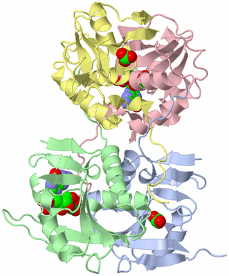 Image Asym./Biol. Unit