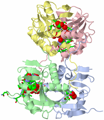 Image Asym./Biol. Unit - sites