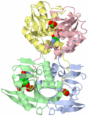 Image Asym./Biol. Unit