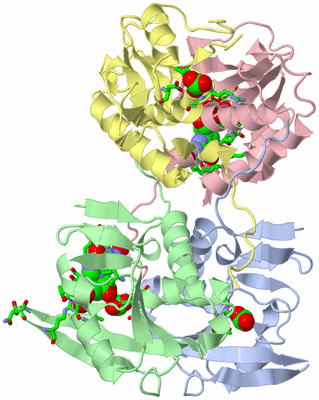 Image Asym./Biol. Unit - sites