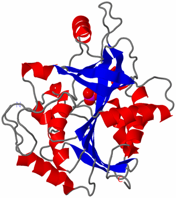 Image Asymmetric Unit