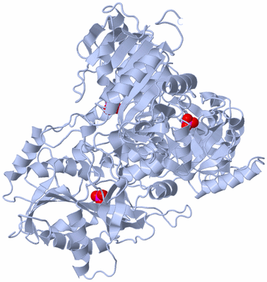 Image Biological Unit 1