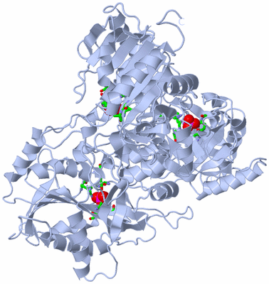 Image Biol. Unit 1 - sites