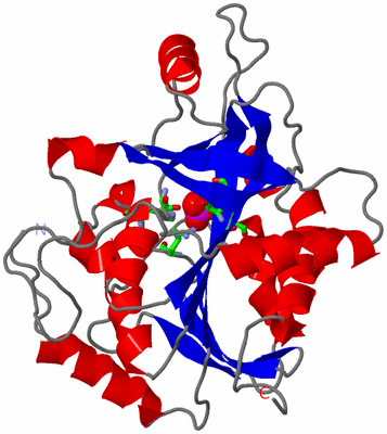 Image Asym. Unit - sites