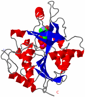 Image Asymmetric Unit