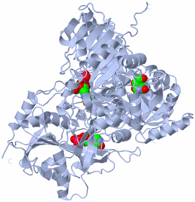 Image Biological Unit 1