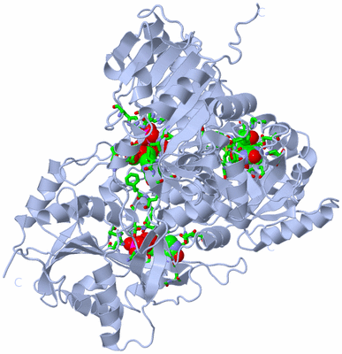 Image Biol. Unit 1 - sites