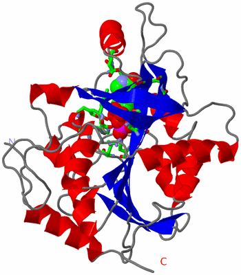Image Asym. Unit - sites