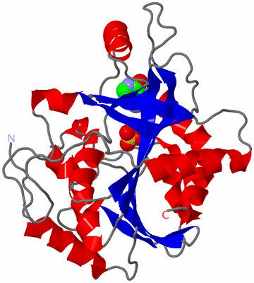Image Asymmetric Unit
