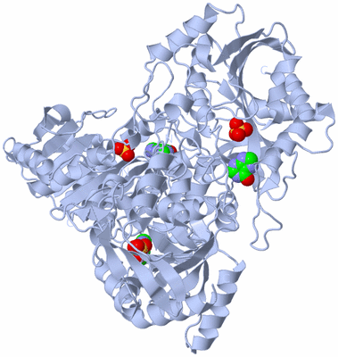Image Biological Unit 1