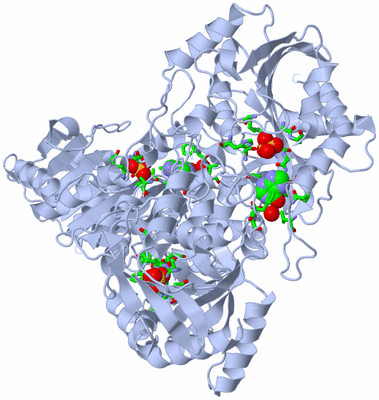 Image Biol. Unit 1 - sites