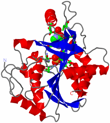 Image Asym. Unit - sites