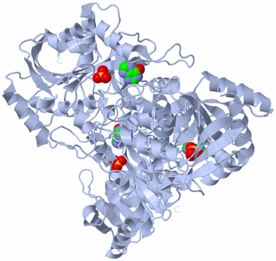 Image Biological Unit 1