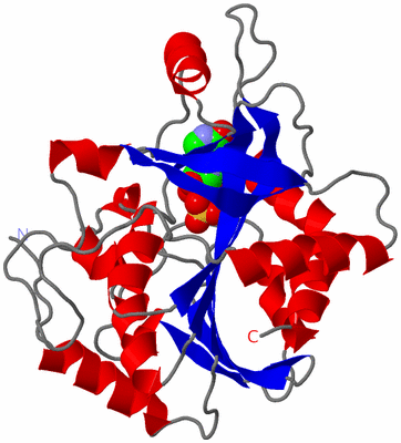 Image Asymmetric Unit