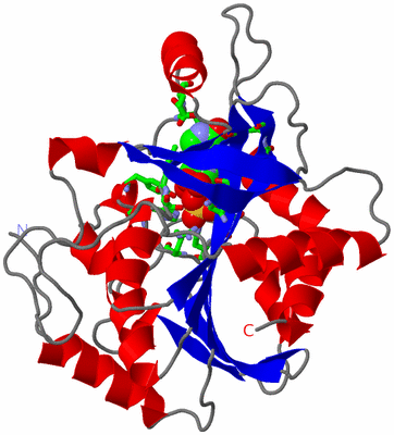 Image Asym. Unit - sites
