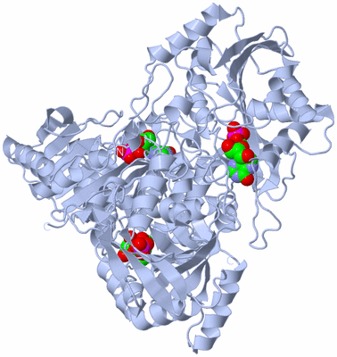 Image Biological Unit 1