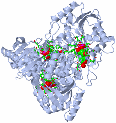 Image Biol. Unit 1 - sites