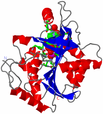 Image Asym. Unit - sites