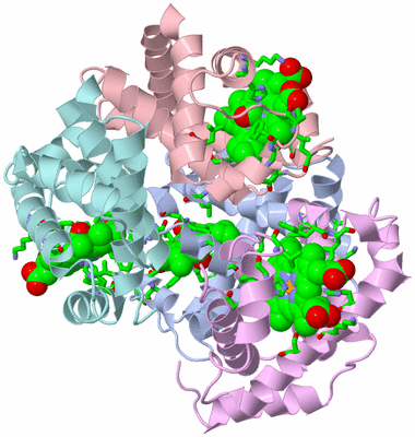 Image Asym./Biol. Unit - sites