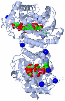 Image Biological Unit 1