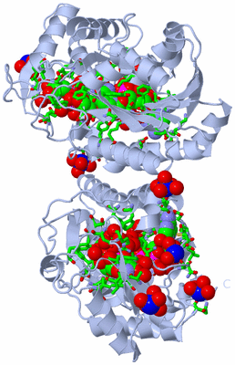 Image Biol. Unit 1 - sites