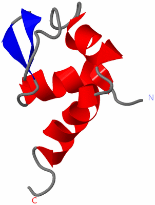 Image NMR Structure - model 1