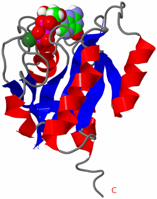 Image NMR Structure - model 1