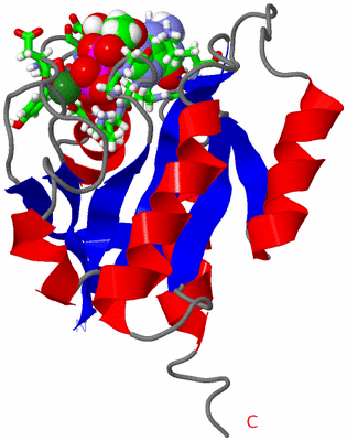 Image NMR Structure - model 1, sites