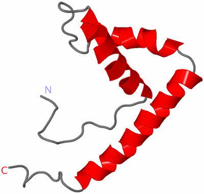Image NMR Structure - model 1