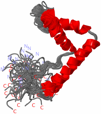 Image NMR Structure - all models
