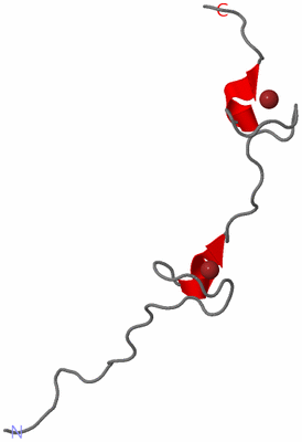Image NMR Structure - model 1