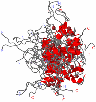 Image NMR Structure - all models