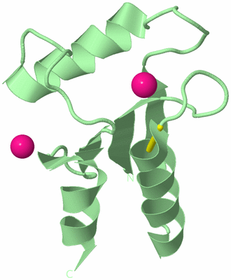 Image Biological Unit 2