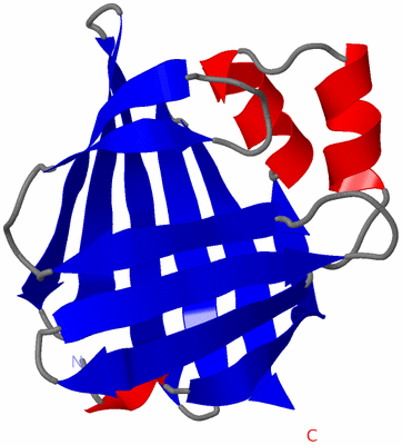 Image Asymmetric Unit