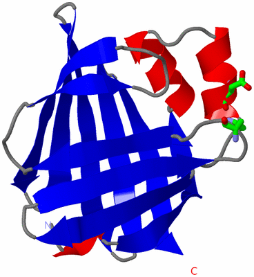 Image Asym. Unit - sites