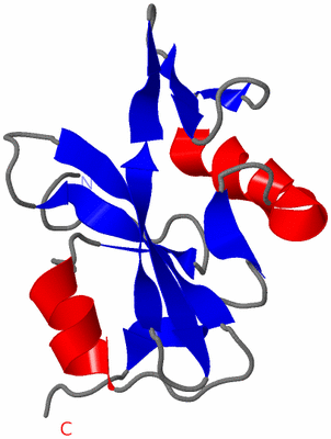 Image NMR Structure - model 1